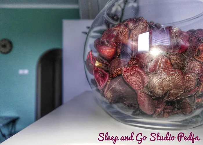 Sleep And Go Pedja