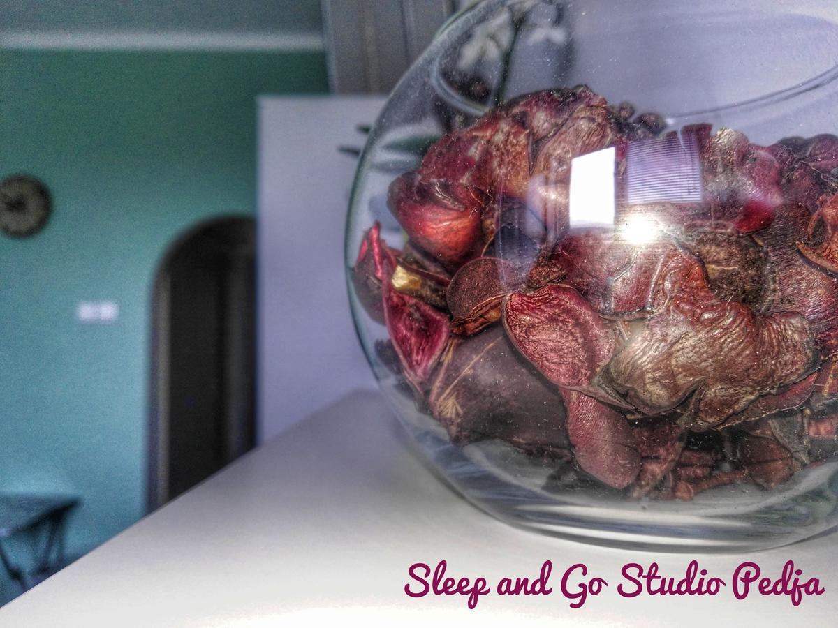 Sleep And Go Pedja